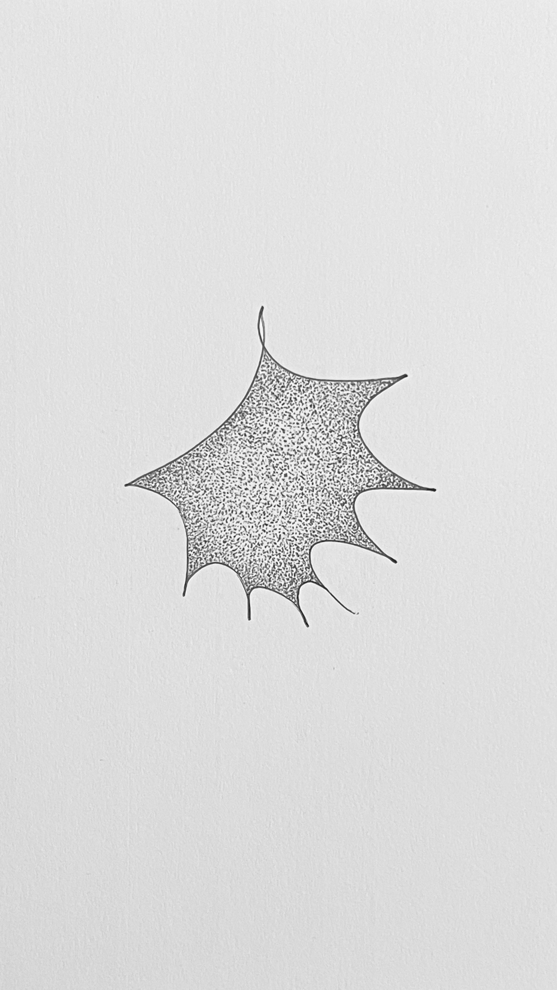 home-star-4.jpg