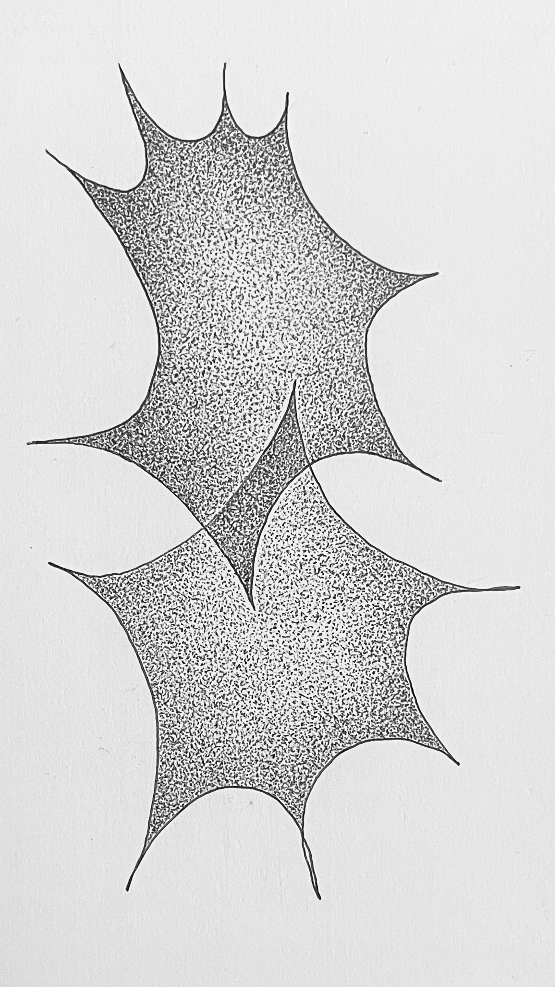 home-star-8.jpg