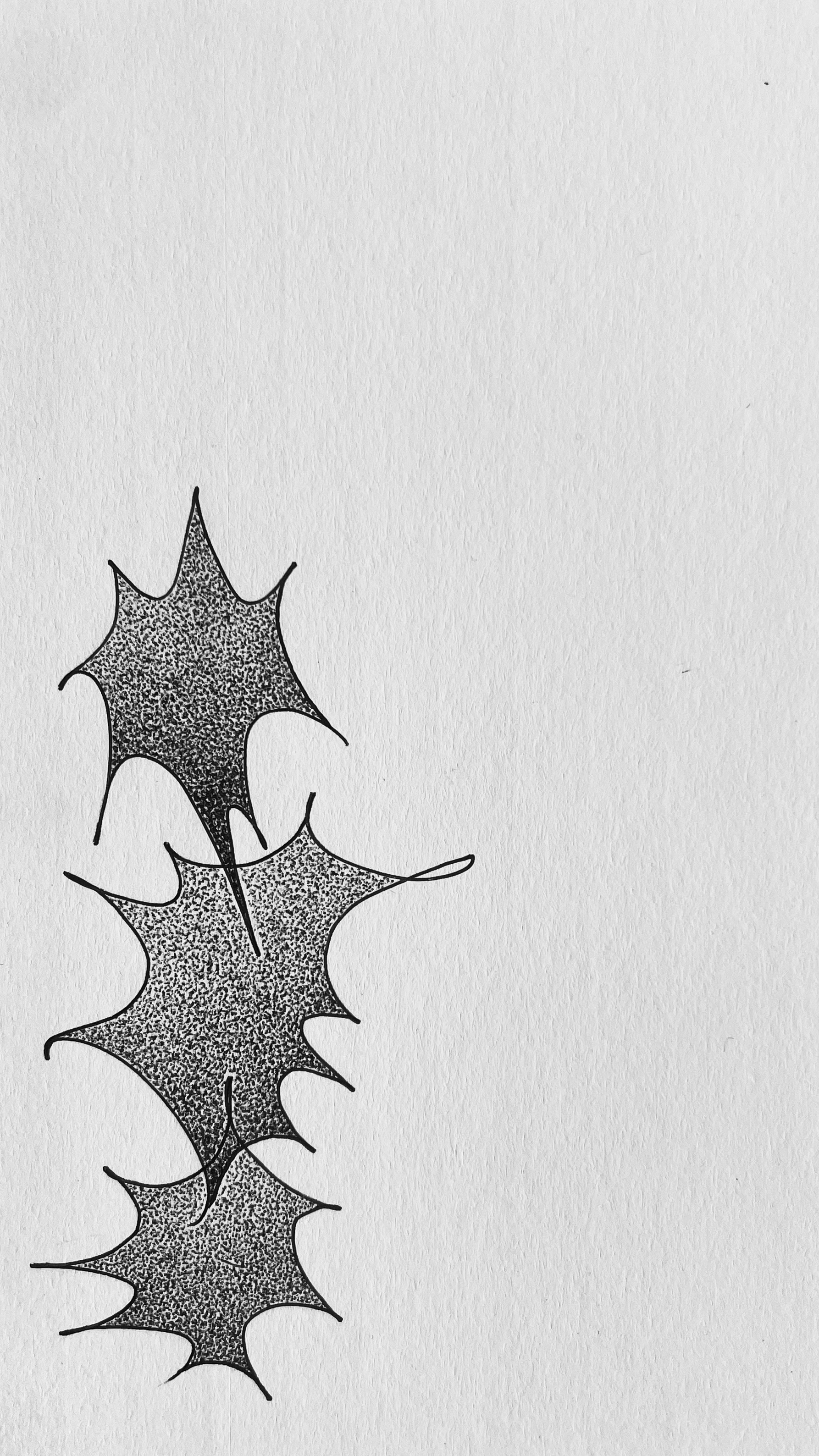 star-15.jpg